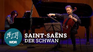 Camille SaintSaëns – Le Cygne Der Schwan  WDR Sinfonieorchester [upl. by Siuqaj]