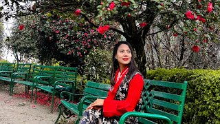 Sharing My Gangtok Vlog With All Of You Family 😇💃🏻vlog explore love subscribe keepsupporting [upl. by Ardnic]