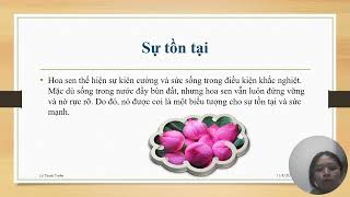 chủ đề hoa sen [upl. by Enyaz]