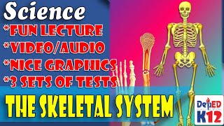 GRADE 6 The Skeletal System  by Sir CG  S6LTIIcd2 [upl. by Adas]