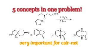 5 concepts in one problem  Very important for csirnet exam [upl. by Ydollem]