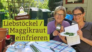 Vorratshaltung Liebstöckel  Maggikraut als Vorrat einfrieren  Gartenmonis Vorratskammer [upl. by Harleigh550]