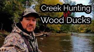 Creek Hunting for Wood Ducks [upl. by Ashmead]