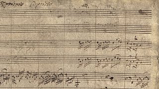 Zelenka  Capriccio in G major ZWV 190 Autograph score  4k HD [upl. by Erleena]