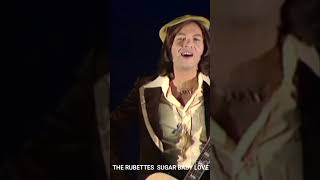 THE RUBETTES SUGAR BABY LOVE [upl. by Hilliard]