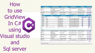 datagridview c  Populate DataGridView in programmatically C [upl. by Eerak]