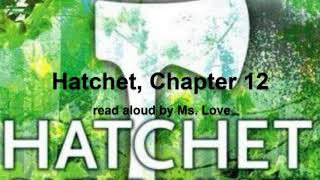 Hatchet by Gary Paulsen Chapter 12 [upl. by Akialam]