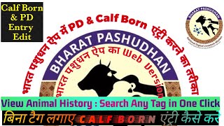 Bharat Pashudhan App PD and Calving Entry Process [upl. by Azeel957]