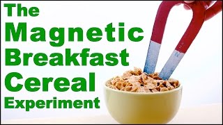 Cool Science Experiment 11 Magnetic Breakfast Cereal [upl. by Boar]