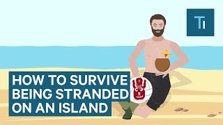 How To Survive If You Get Stranded On An Island [upl. by Nivahb]