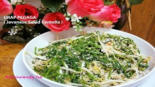 Mukbang Masak URAP PEGAGA amp AYAM TUA MASAK UNGKEP Javanese Salad Centella Resepi Chef Alexiswandy [upl. by Sutton]