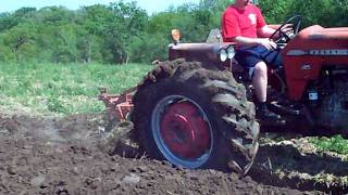 Massey Ferguson 175 Plowing [upl. by Onairam]