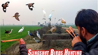 Best Birds Hunting Shots With Handmade Slingshot [upl. by Nnylecoj]