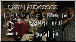 Harry Potter és az azkabani fogoly hangoskönyv remake  2 fejezet [upl. by Enirahtac]