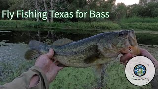 Fly Fishing Texas for Largemouth Bass College Station TX [upl. by Mukerji]