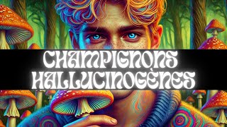 Substance  CHAMPIGNONS HALLUCINOGÈNES [upl. by Naejeillib]