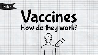 How Do Vaccines Work  Quick Learner [upl. by Azaria447]