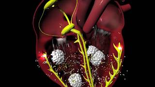 Digoxin for Arrhythmias irregular heartbeat [upl. by Cornwall]