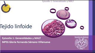 T2C15E1Tejido Linfoide Generalidades y MALT [upl. by Ynad]