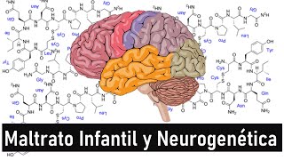 El Maltrato Infantil produce Alteraciones Genéticas [upl. by Onihc]