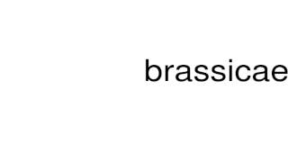 How to pronounce brassicae [upl. by Ahseinod]