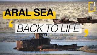 Aral sea  The difficult return of water [upl. by Luigi]