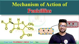 MECHANISM OF ACTION OF PENICILLINS  PHARMACOLOGY [upl. by Isaacson]