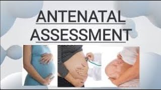 ANTENATAL ASSESSMENT  FULL DETAILS [upl. by Oirramed907]