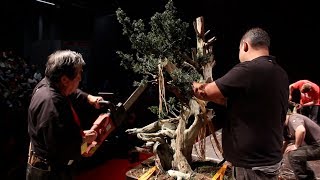 Kunio Kobayashi Bonsai demo [upl. by Stallworth]