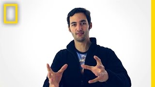 Jason Silva on Color  Brain Games [upl. by Zzahc]