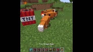 Minecraft Tnt Vs Villager 551 Short [upl. by Ydnirb]