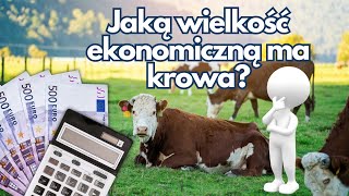 Jak zmienić wielkość ekonomiczną gospodarstwa WEG [upl. by Delos150]