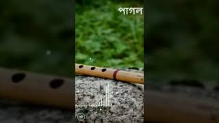 Best Bansuri ringtonebangla Bashir sur [upl. by Nnyrb]