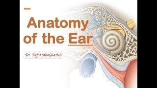 Anatomy of the Ear Full Lecture [upl. by Oirazan]