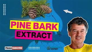 Pine Bark Extract [upl. by Acinoreb931]