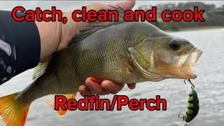 Catch and Cook PerchRedfin [upl. by Enalda]