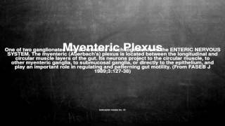 Medical vocabulary What does Myenteric Plexus mean [upl. by Annagroeg]