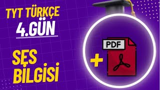 4 Ses Bilgisi  21 Günde TYT Türkçe Kampı [upl. by Koziarz]