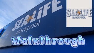 Sea Life Centre Blackpool Full Walkthrough including Shop 4k August 2022 [upl. by Revlys]