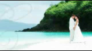 Aghany A3ras old Mix  اعراس wedding song arabic [upl. by Oijimer]