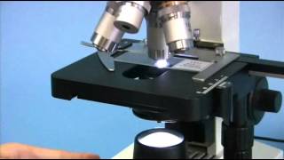 OMAX 40X2000X Biological Compound Microscope with Mechanical Stage and LED Light [upl. by Coyle]