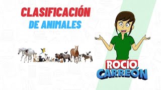 CLASIFICACIÓN DE ANIMALES Herbívoro Carnívoro Omnívoro e Insectívoro [upl. by Wengert]