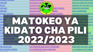 TAZAMA MATOKEO YA KIDATO CHA PILI 2022FORM TWO RESULTS NECTA 202223 [upl. by Stoddard159]