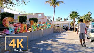 San José del Cabo Baja California Sur  Mexico 🇲🇽  BCS  Virtual Walking  4K Street Walk  2021 [upl. by Dorian]