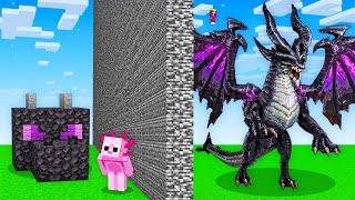 I Cheated With DRAGONS in Minecraft Build Battle [upl. by Prudie]