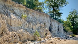 Collecting 600 Fossils in One Day  Shark Tooth Hunting [upl. by Yreffeg]