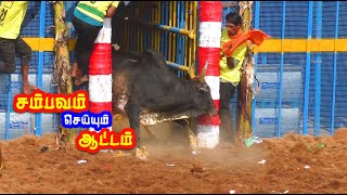 சம்பவம் செய்யும் தரமான காளைகள் Mangalapuram jallikattu best video [upl. by Einnoj]