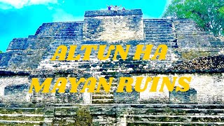 ALTUN HA MAYAN RUINS  BELIZE CITY  SKYE and Family [upl. by Phillip]