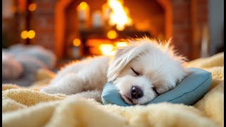 Cozy Fireplace Sounds Tonight Help Your Furry Friend Sleep Better [upl. by Berlin]