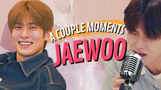 JaeWoo Just a couple moments [upl. by Anhpad]